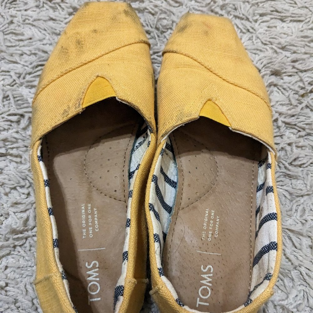 yellow Toms